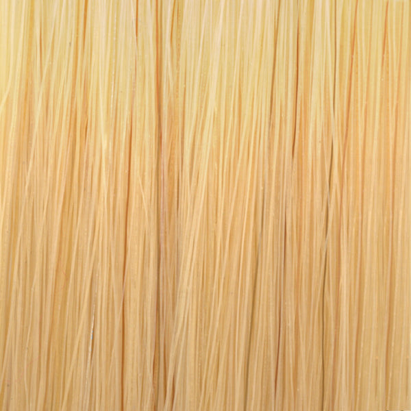 #11GG Light Double Golden Blonde Tape in Hair Extensions - 10 Pieces - SDX. Tape in Hair Extensions