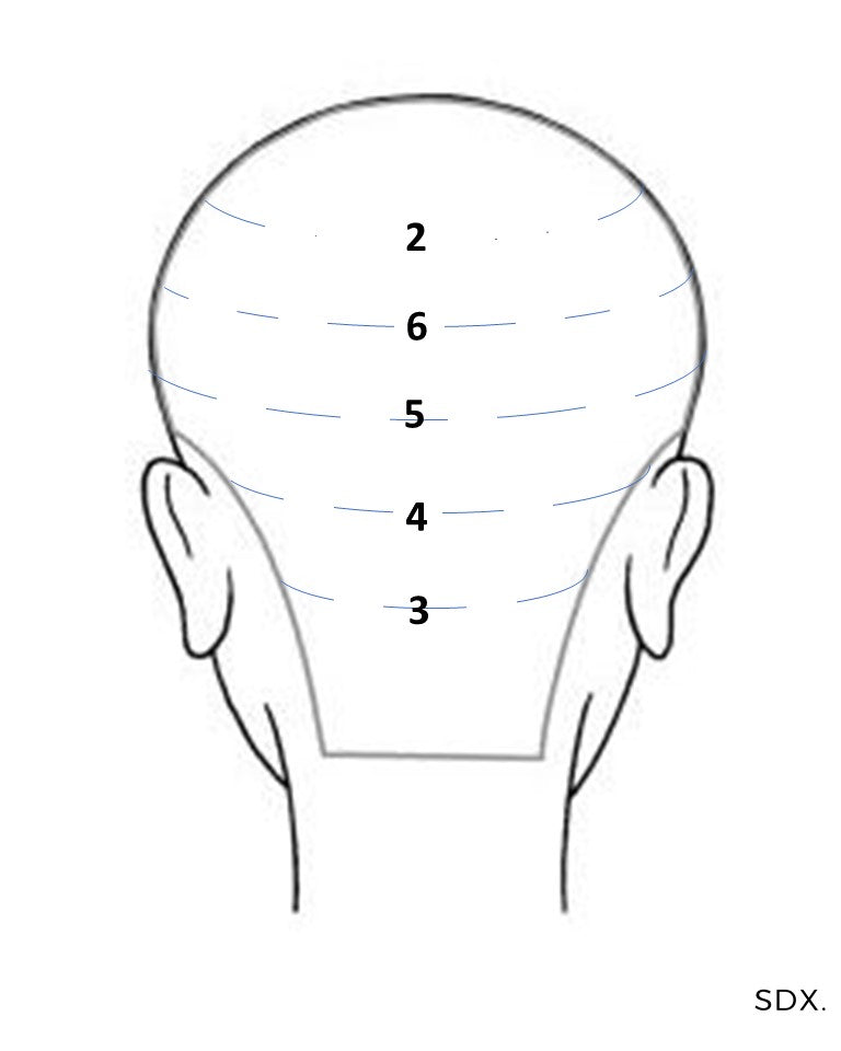 [How To:] Tape in Hair Extensions head map guide for installation