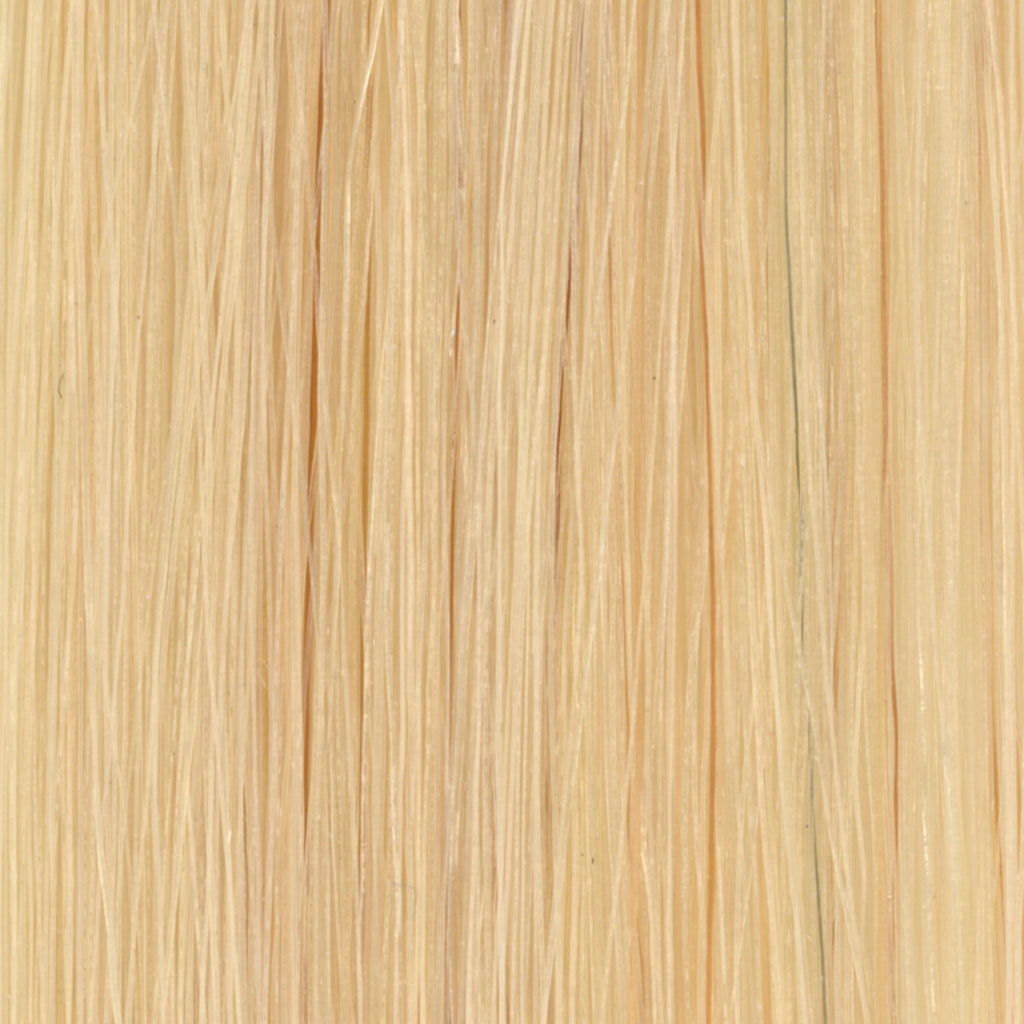 #11G Light Golden Blonde Tape in Hair Extensions - 10 Pieces - SDX. Tape in Hair Extensions